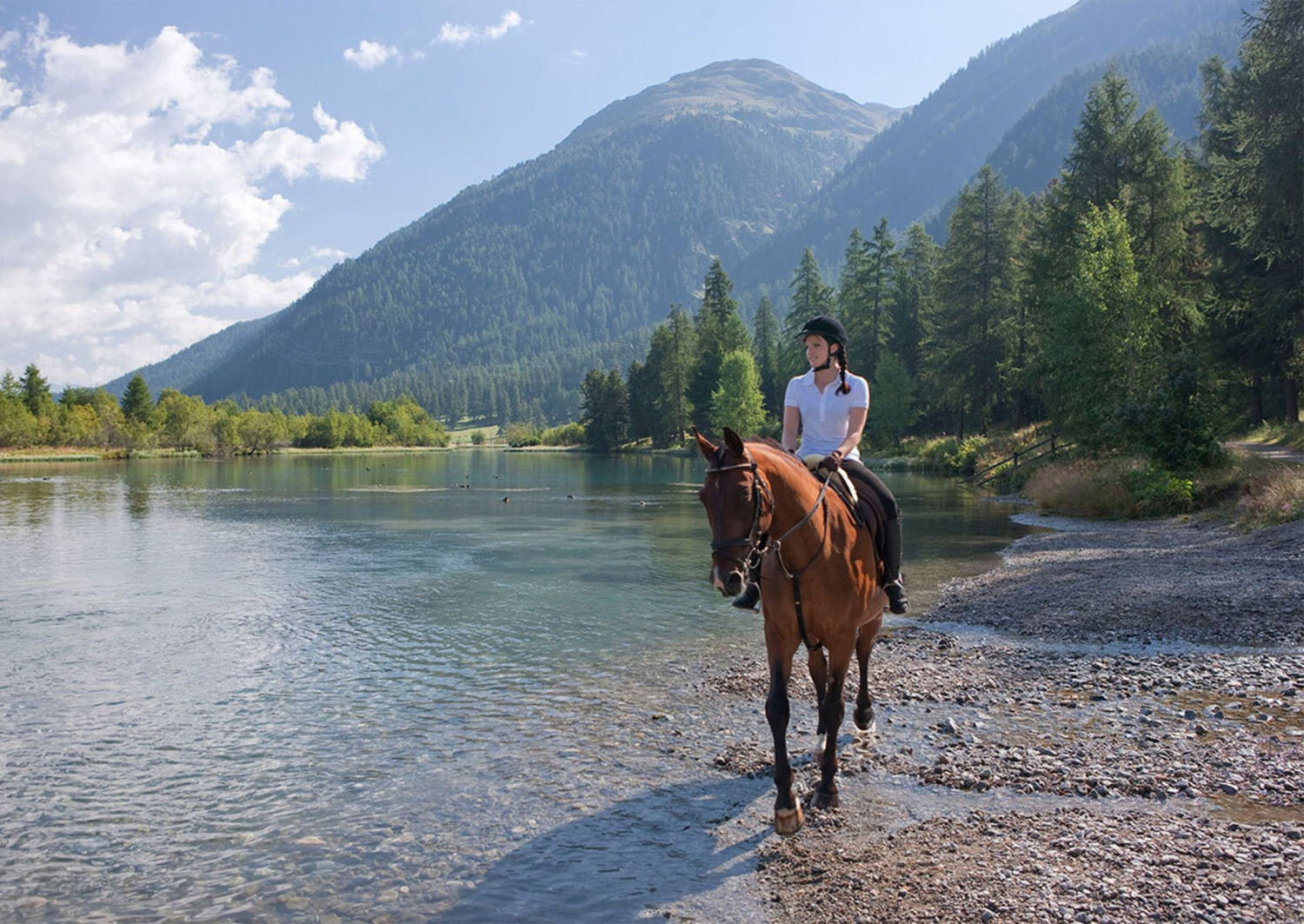 Reiten