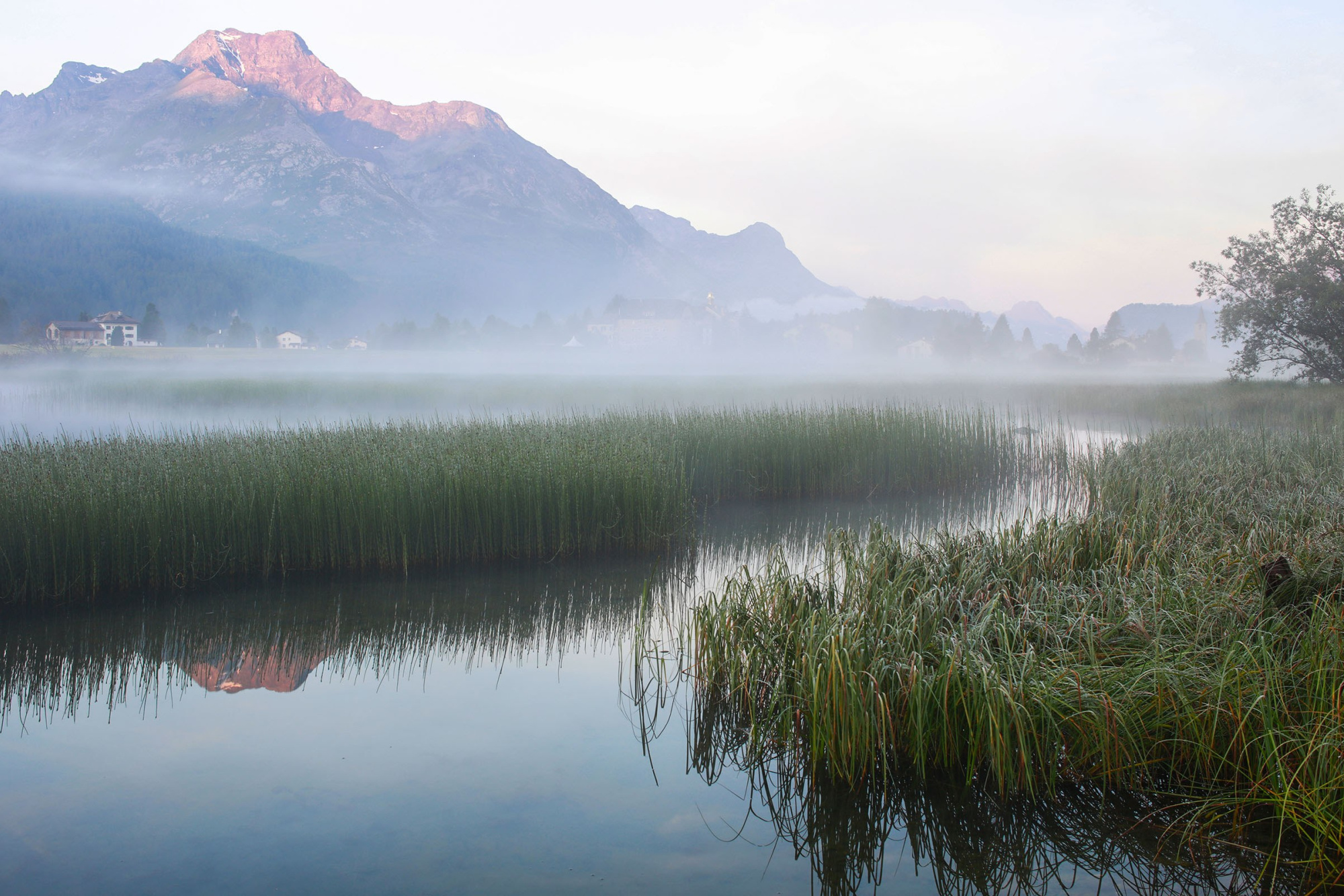 Landschaft sommer hotel randolina sils engadin 20