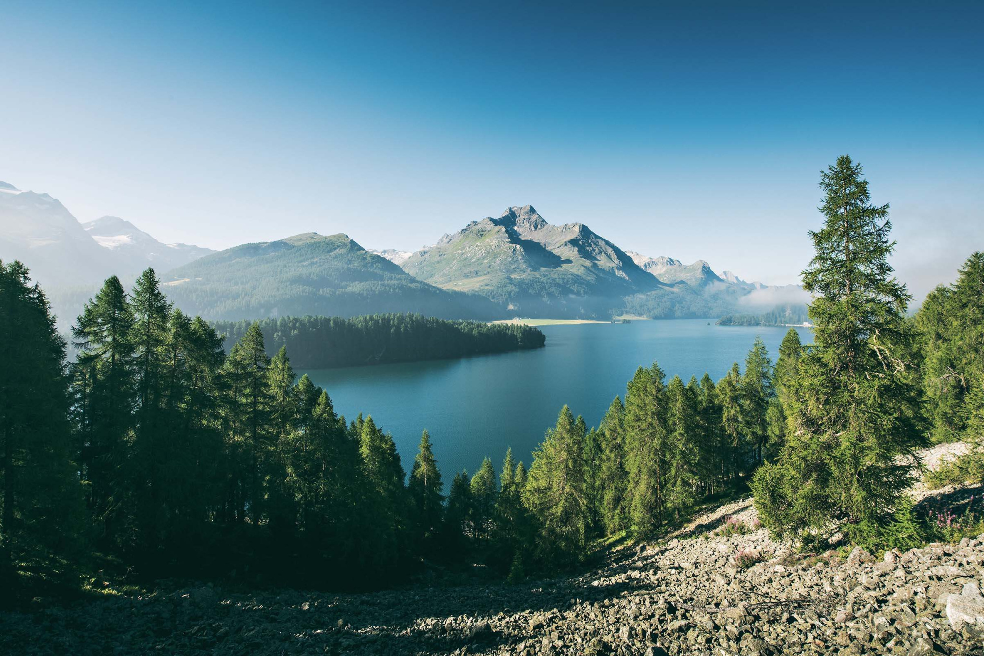 Landschaft sommer hotel randolina sils engadin 25