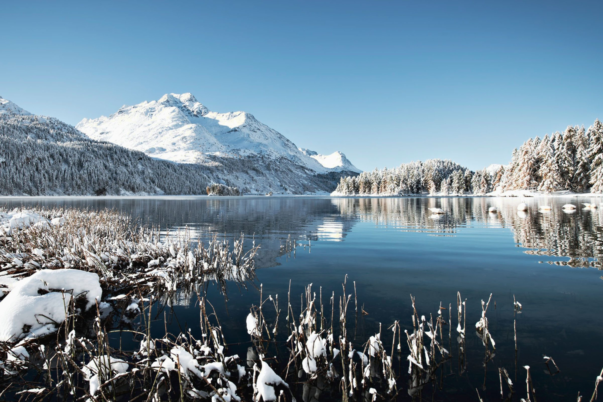 Landschaft winter hotel randolina sils engadin 04