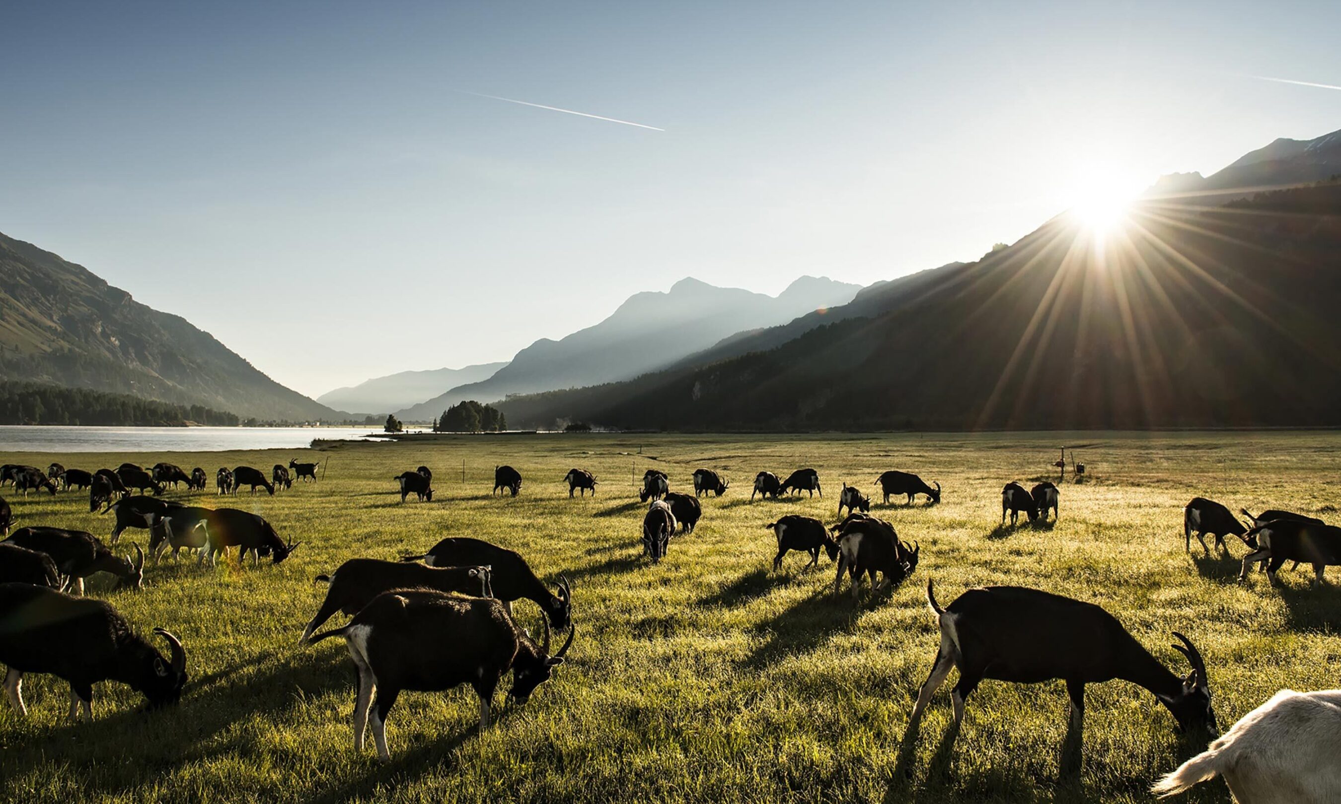 Chesa Randolina Engadin Sommer 09